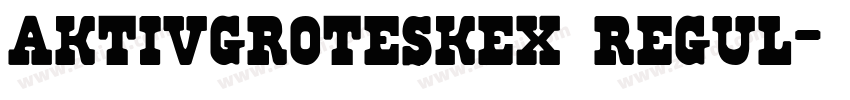 aktivgroteskex regul字体转换 aktivgroteskex regul字体转换
